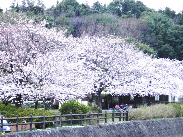 前足あげるの、なしワンね_e0195743_14575118.jpg