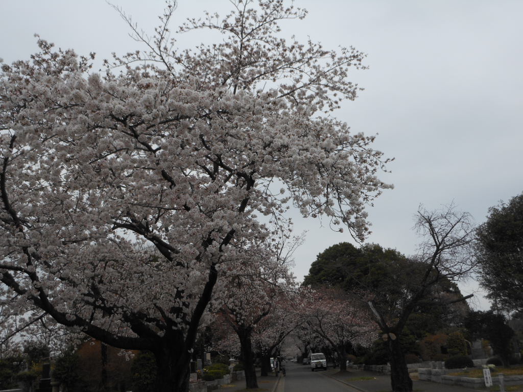 c0122744_0441953.jpg
