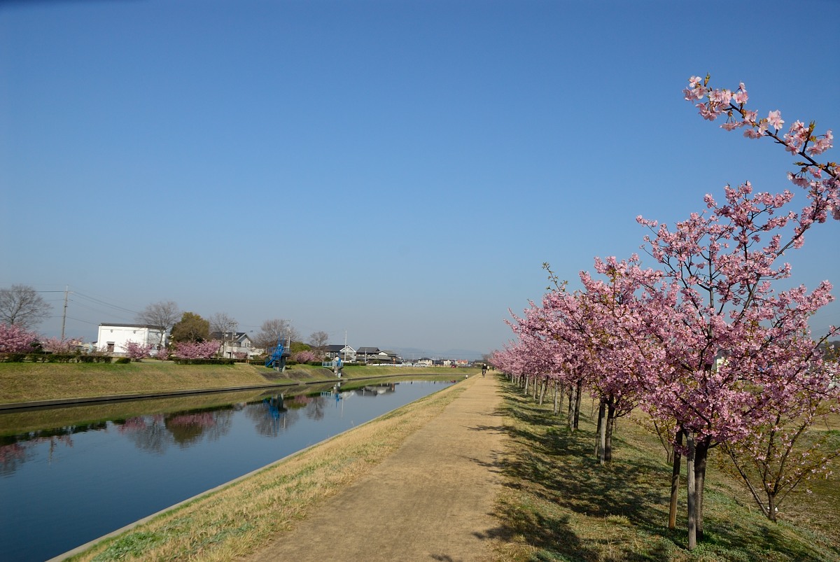 f0224648_18432470.jpg