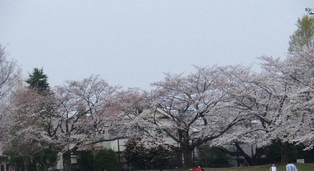 b0239151_1235215.jpg