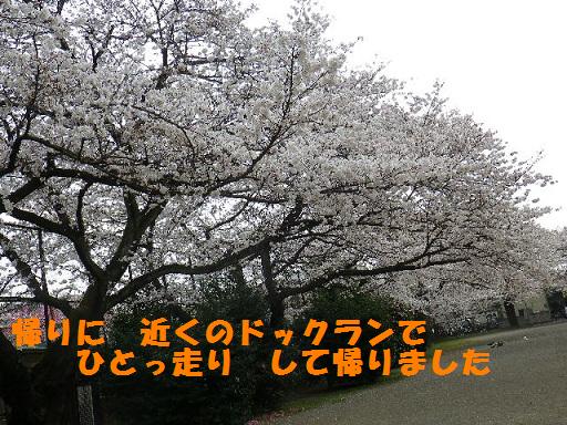 b0239151_1381241.jpg