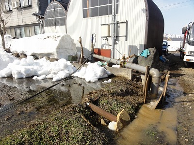 大雪の冬が終わって井戸掃除_a0084753_1613136.jpg