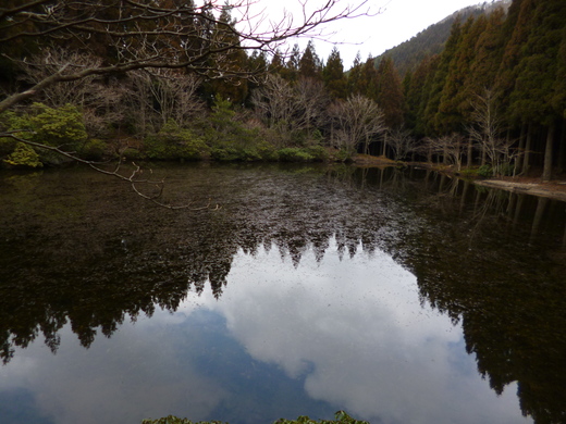 静寂の池　水舟の池_d0231858_19302529.jpg