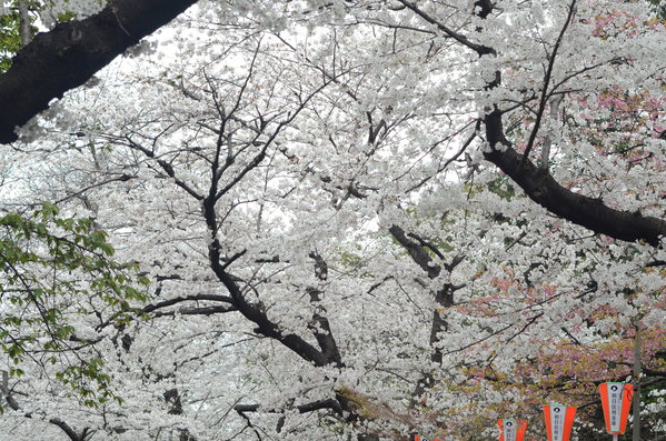 b0286966_22474072.jpg