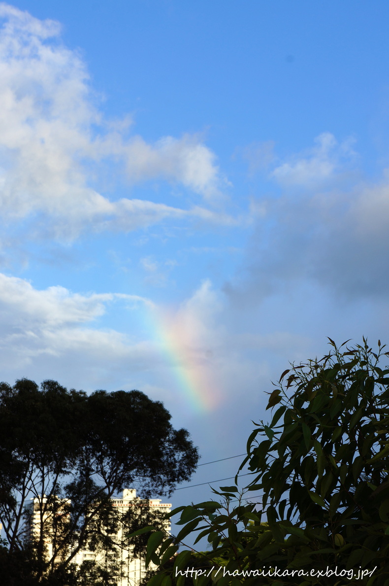 Rainbow 10_e0277172_1749219.jpg