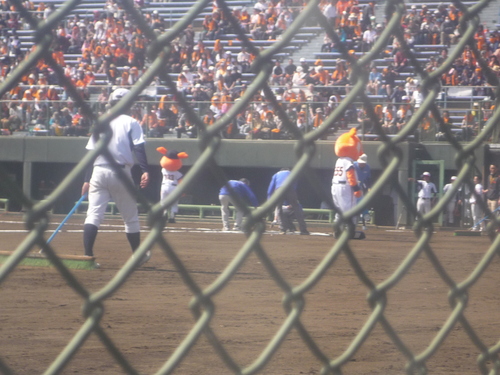 プロ野球オープン戦の観戦に行ってきました!_e0191174_14202414.jpg