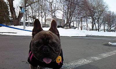 b0056476_12222451.jpg