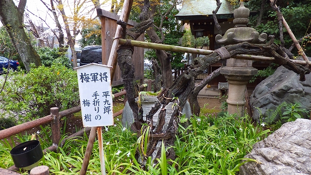 2013 SAKURA 【愛宕神社】_b0215577_0223413.jpg