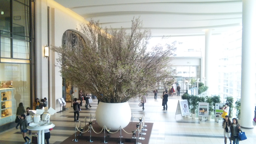 f0200477_22455739.jpg