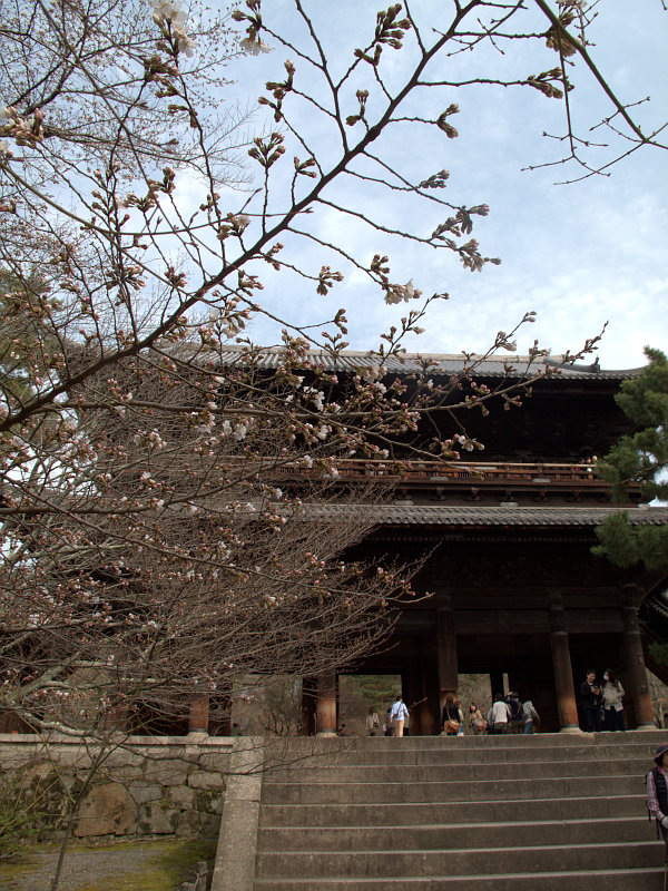 ２０１３　京都　桜　　南禅寺　インクライン_b0122979_13165294.jpg