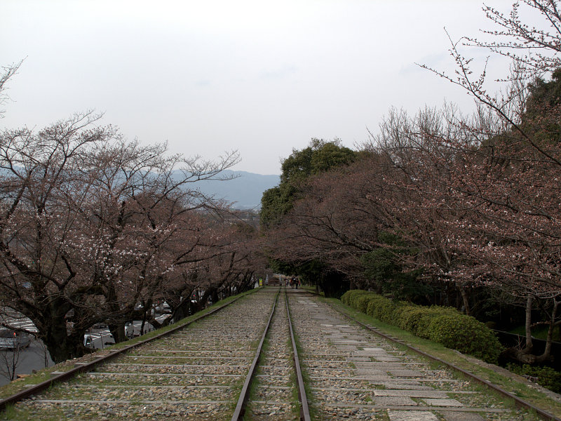 ２０１３　京都　桜　　南禅寺　インクライン_b0122979_1322258.jpg