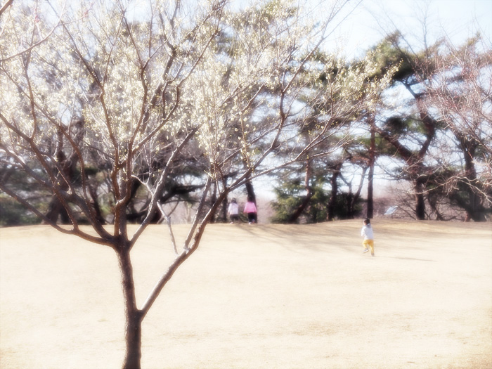 ２月、野川にて_a0161380_14561727.jpg