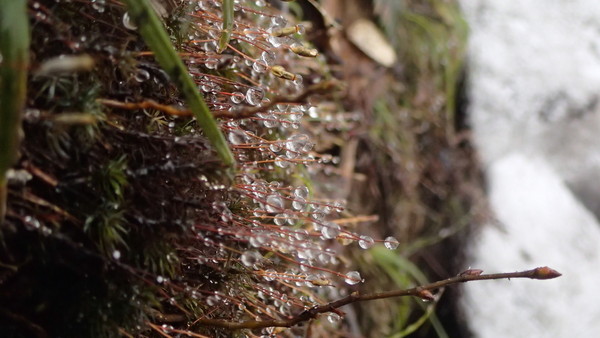 e0024081_20301511.jpg