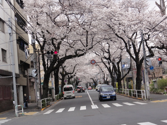 f0218182_19233690.jpg