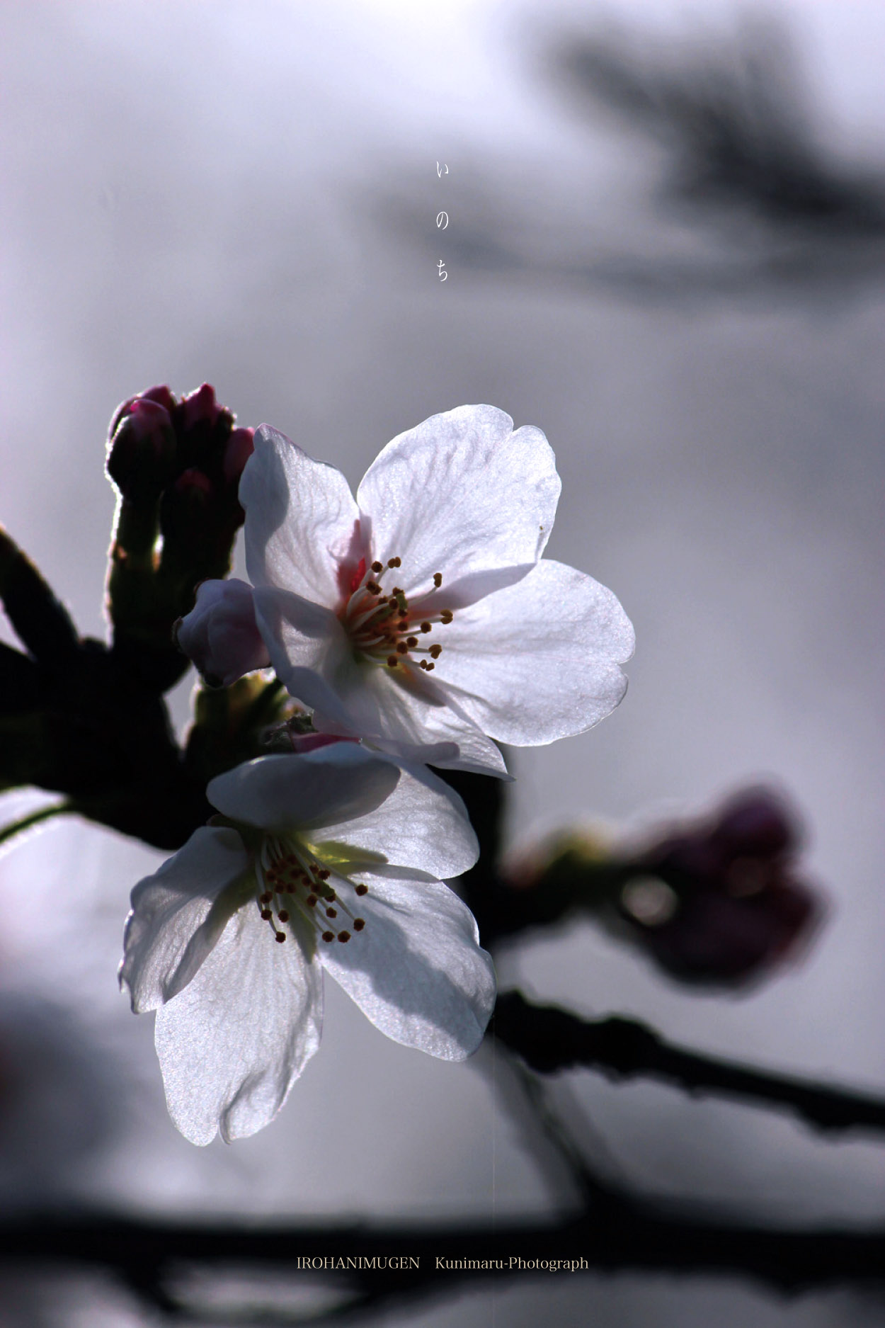 f0221382_6658.jpg