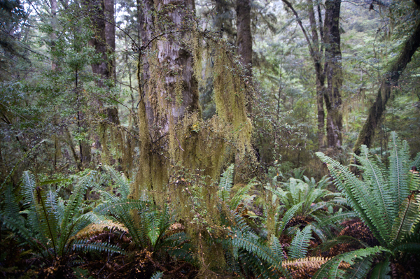 c0168986_15523318.jpg