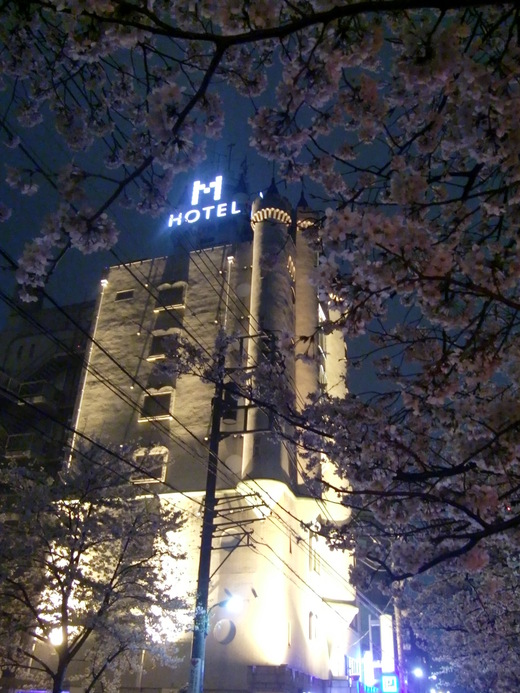 夜桜_b0010087_20325495.jpg