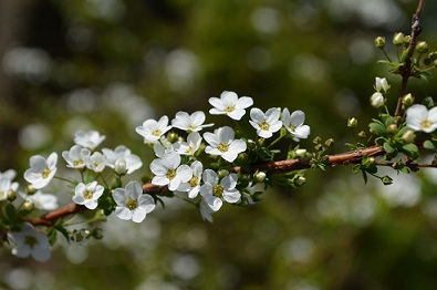 c0171288_1449421.jpg