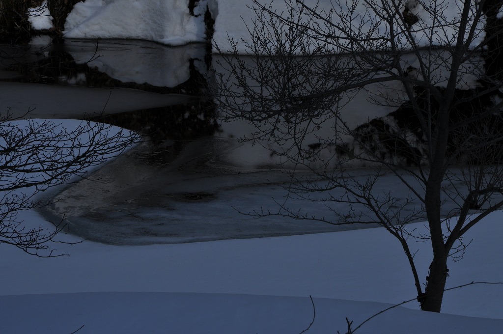c0240388_21161827.jpg