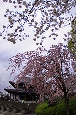 e0305388_22544.jpg