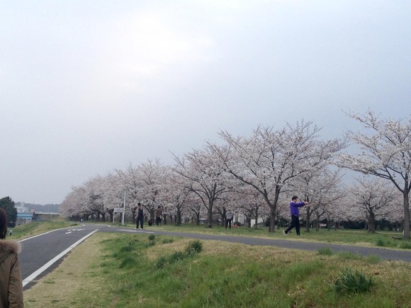 河原土手で、お花見がてら散歩_c0004193_12391012.jpg