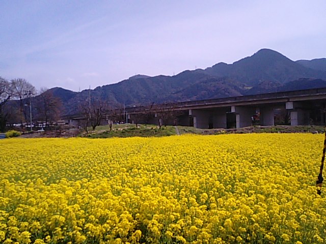f0231709_14535428.jpg