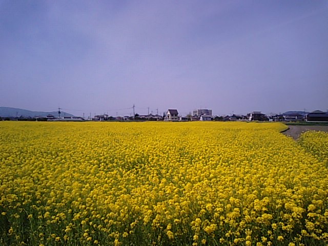 f0231709_14542454.jpg