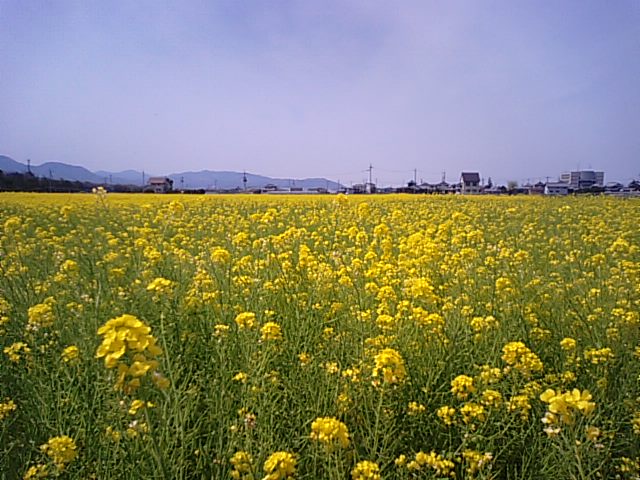 f0231709_14552361.jpg