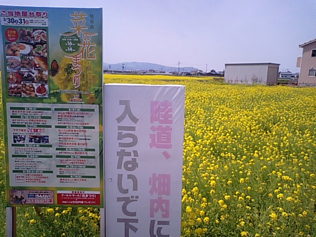 f0231709_14555315.jpg