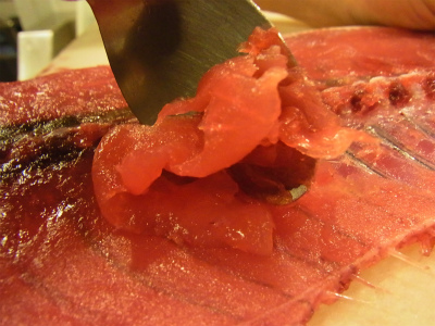 ケンケンカツオ!_f0157910_1525792.jpg