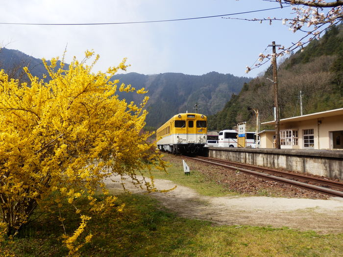 花の駅　安野_f0219710_6595466.jpg