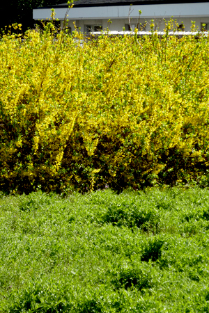 d0113613_11272846.jpg