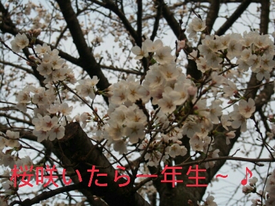 f0239713_2141412.jpg