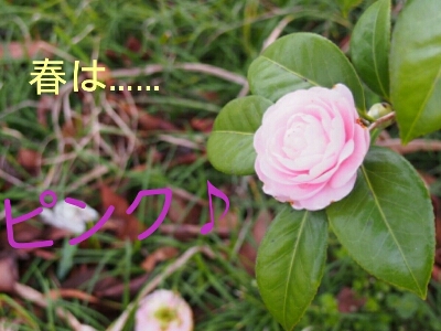 f0239713_21425181.jpg