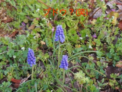 f0239713_21434534.jpg