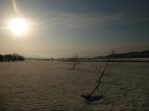a0236914_9484083.jpg