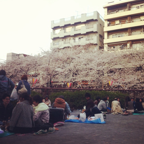 HANAMI。_a0096015_14364499.jpg