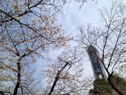 東山動植物園、とレシピブログ春色ごはんコンテスト開催のお知らせ_f0168317_2125551.jpg