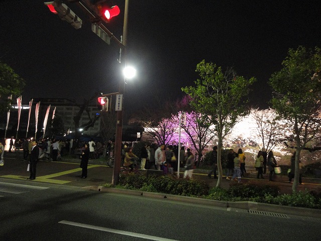 桜の季節になりました!!_a0110720_18282283.jpg