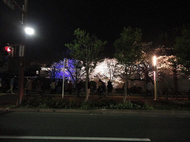 桜の季節になりました!!_a0110720_18283882.jpg