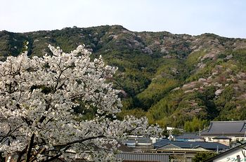 労働者後援会とはりまや橋早朝、芸西後援会の懇親会_e0255020_2302895.jpg