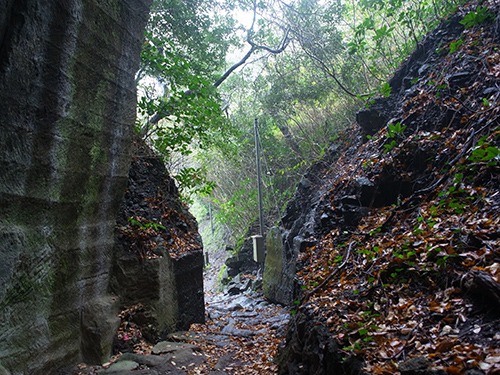 今も残る江戸時代からの採石場、室岩洞（伊豆松崎）_e0234922_973042.jpg