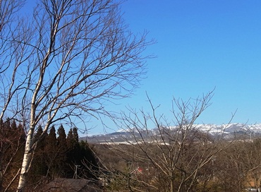 c0204725_11153070.jpg
