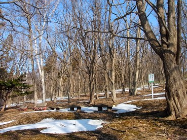 c0204725_11162671.jpg