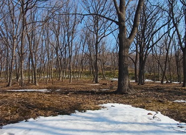 c0204725_1116426.jpg
