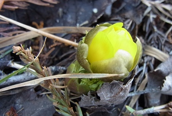 c0204725_11174392.jpg