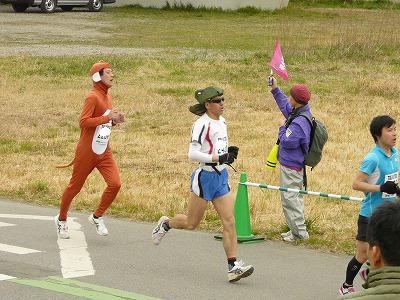 おにゃじ “2013板橋Cityマラソン”を走る 前半_b0166128_17545623.jpg