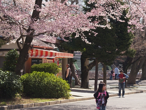 動物園_c0077531_237217.jpg