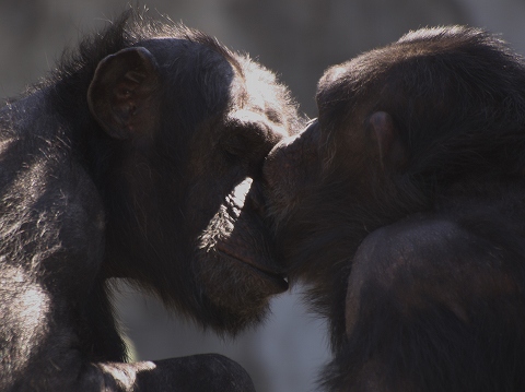動物園_c0077531_2392558.jpg