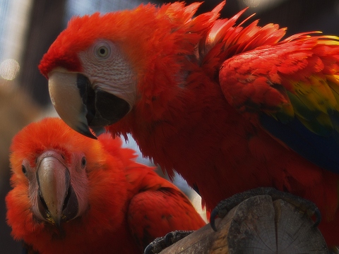 動物園_c0077531_2393344.jpg